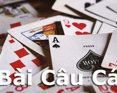 Tìm hiểu cách chơi bài câu cá online hiệu quả tại nhà cái