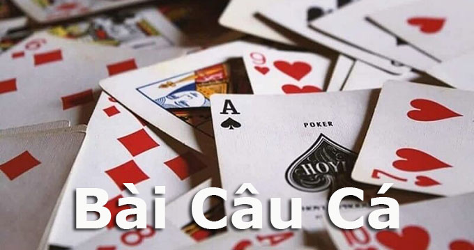 Bài câu cá